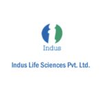 Blue and Navy Modern Project Proposal - 13